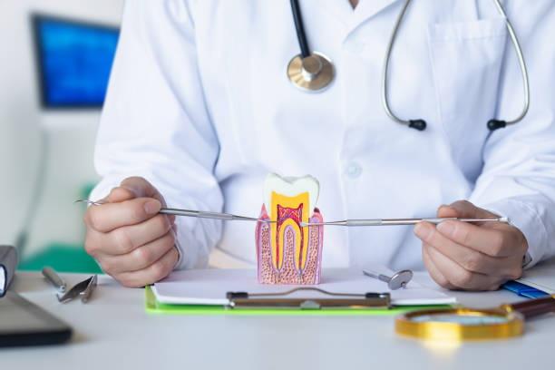 Best Emergency Dentist Near Me  in Leslie, MI